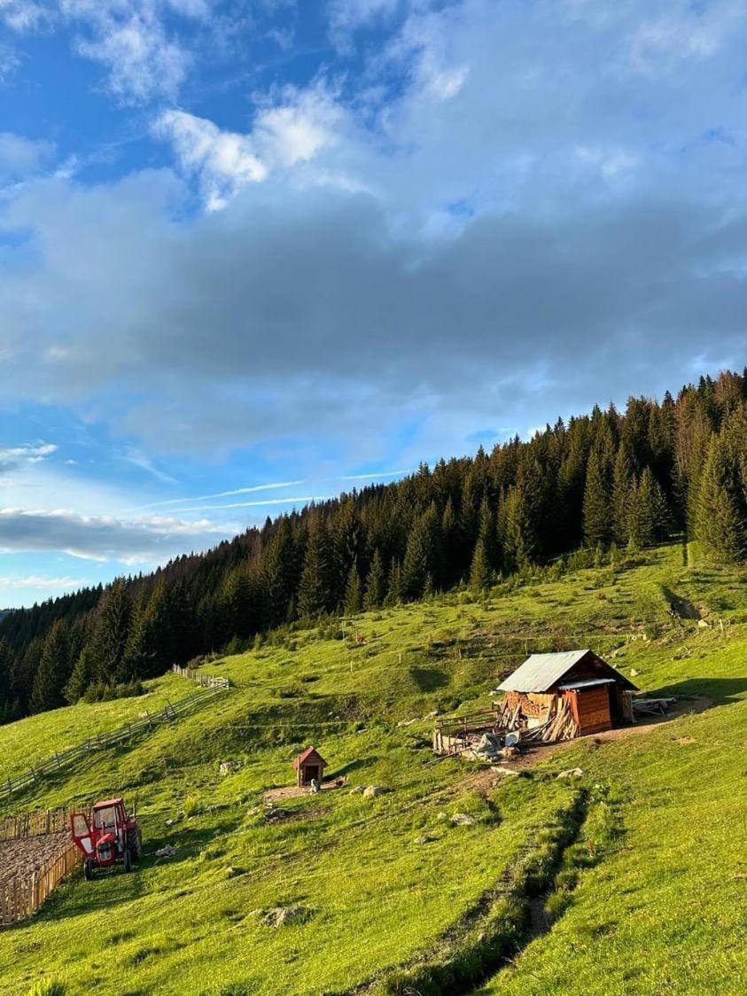 Samel'S Cottage Hrid'S Lake Prokletije Plav Zewnętrze zdjęcie